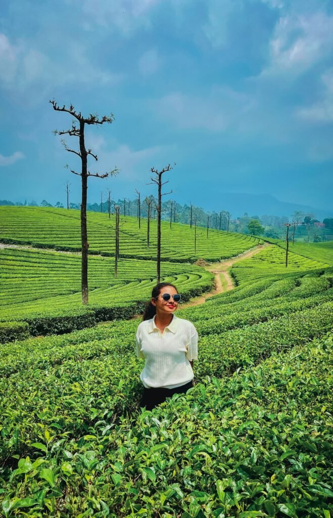 digital marketer in malappuram